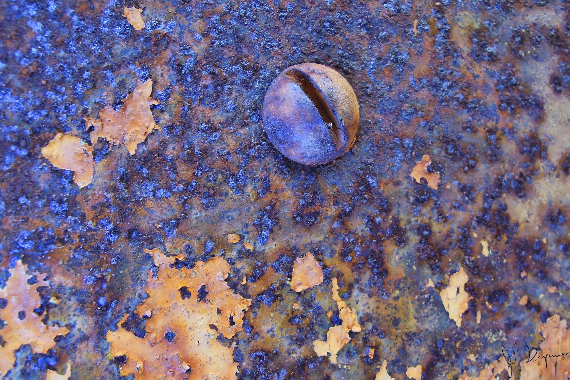 Rusty Screw de Jean-François Dupuis sur GIANT ART - pink photo art