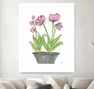 Summer Sequel – Pink -2 by Lori Dubois on GIANT ART - pink botanical plante dans un pot