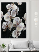 Dream of Dior I by Daleno Art on GIANT ART - orange abstract abstrait 