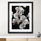 Dream of Dior I by Daleno Art on GIANT ART - orange abstract abstrait 