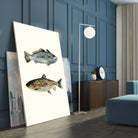Fish Grouping 1 by Natasha Marie on GIANT ART - grey animals