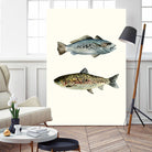 Fish Grouping 1 by Natasha Marie on GIANT ART - grey animals