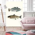 Fish Grouping 1 by Natasha Marie on GIANT ART - grey animals