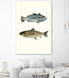 Fish Grouping 1 by Natasha Marie on GIANT ART - grey animals