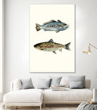 Fish Grouping 1 by Natasha Marie on GIANT ART - grey animals