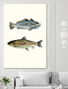 Fish Grouping 1 by Natasha Marie on GIANT ART - grey animals