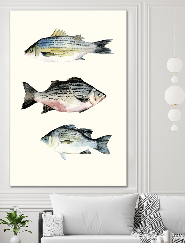 Fish Grouping 2 by Natasha Marie on GIANT ART - grey animals