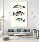 Fish Grouping 2 by Natasha Marie on GIANT ART - grey animals