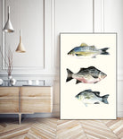 Fish Grouping 2 by Natasha Marie on GIANT ART - grey animals