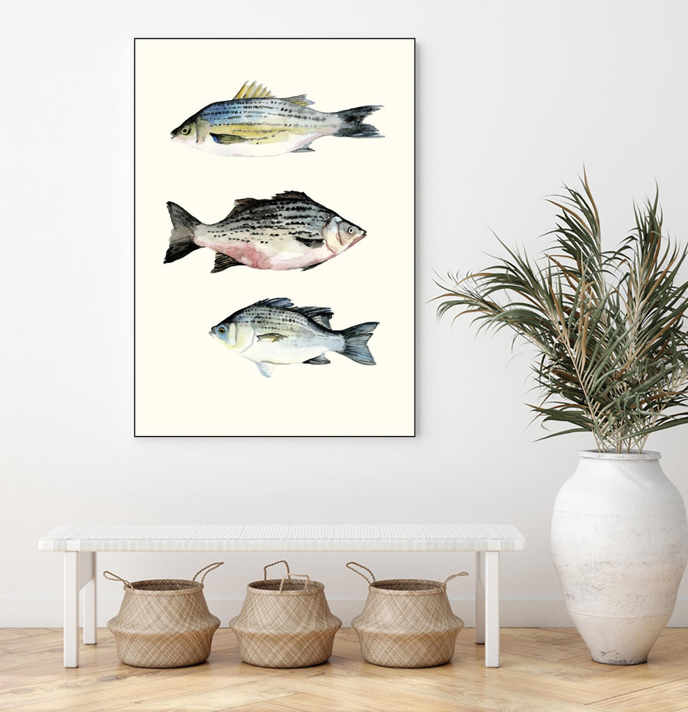 Fish Grouping 2 by Natasha Marie on GIANT ART - grey animals