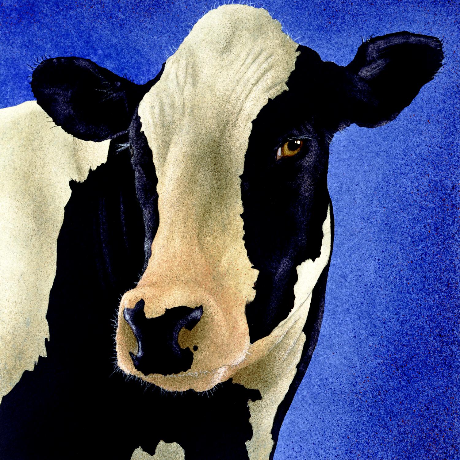 Blue Moo Moo de Will Bullas sur GIANT ART - animaux bleus