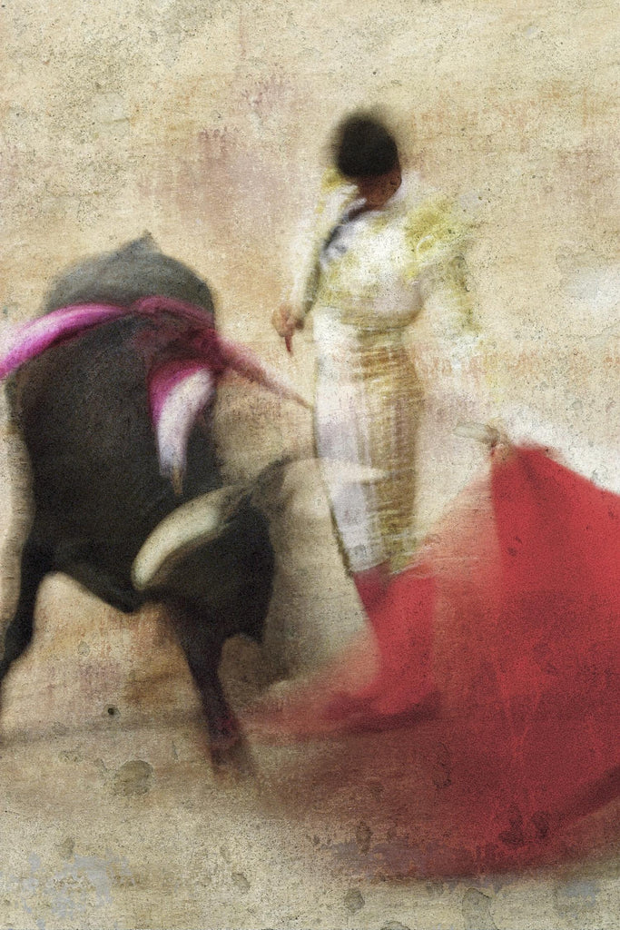 San Miguel, corrida #2 par Doug Landreth sur GIANT ART - rouge vie quotidienne
