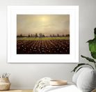 Parhelia: Cotton Field by Matthew Hasty on GIANT ART - green landscape