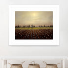 Parhelia: Cotton Field by Matthew Hasty on GIANT ART - green landscape