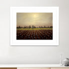 Parhelia: Cotton Field by Matthew Hasty on GIANT ART - green landscape