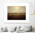 Parhelia: Cotton Field by Matthew Hasty on GIANT ART - green landscape