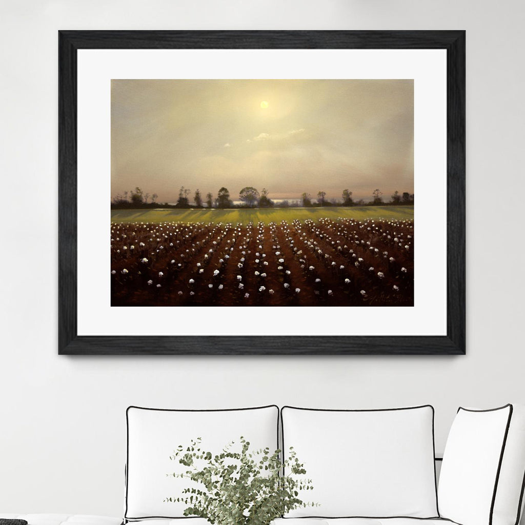 Parhelia: Cotton Field by Matthew Hasty on GIANT ART - green landscape