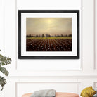 Parhelia: Cotton Field by Matthew Hasty on GIANT ART - green landscape