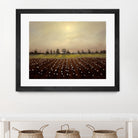 Parhelia: Cotton Field by Matthew Hasty on GIANT ART - green landscape