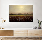 Parhelia: Cotton Field by Matthew Hasty on GIANT ART - green landscape