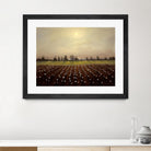 Parhelia: Cotton Field by Matthew Hasty on GIANT ART - green landscape