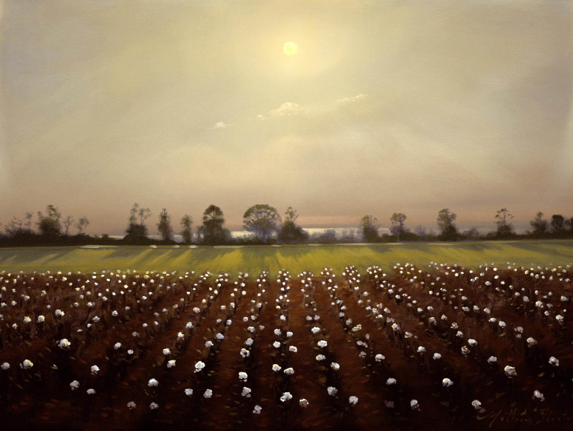 Parhelia: Cotton Field by Matthew Hasty on GIANT ART - green landscape