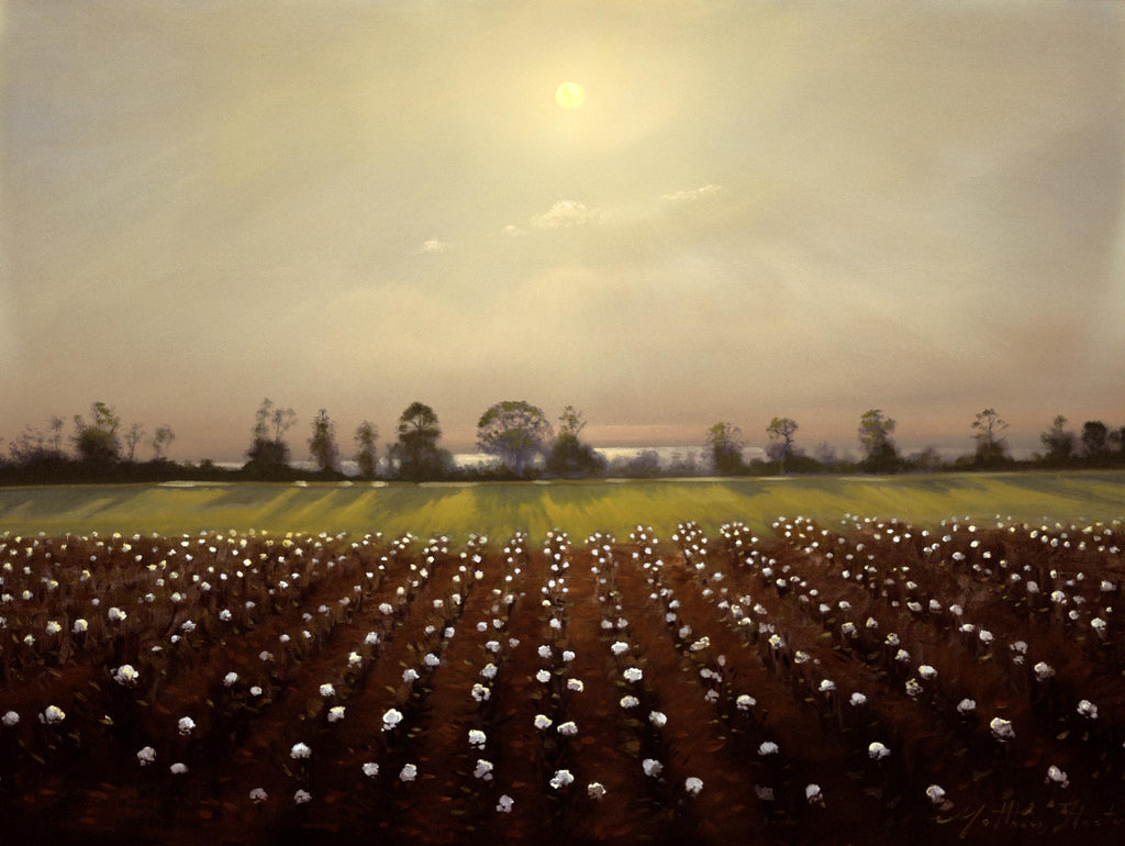 Parhelia : Cotton Field de Matthew Hasty sur GIANT ART - paysage vert