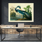 Louisiana Heron Plate 217 by Porter Design on GIANT ART - beige animals