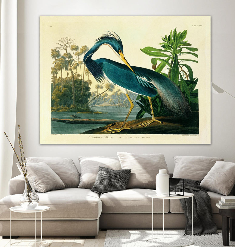 Louisiana Heron Plate 217 by Porter Design on GIANT ART - beige animals
