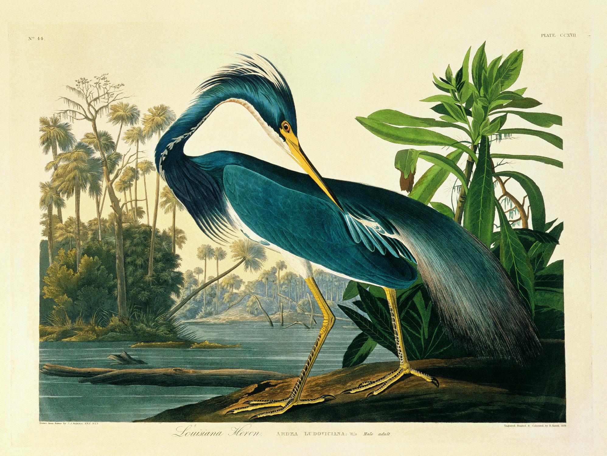 Assiette Heron de Louisiane 217 de Porter Design sur GIANT ART - animaux beiges