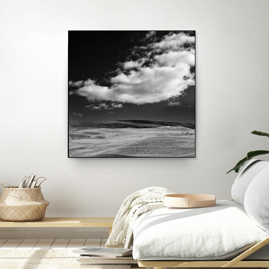 Field with Clouds by Jamie Cook on GIANT ART - white landscape