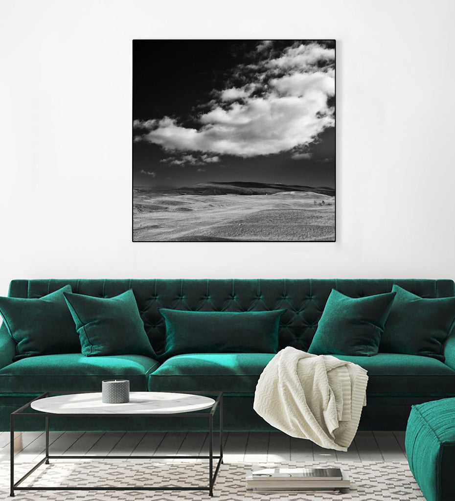 Field with Clouds by Jamie Cook on GIANT ART - white landscape