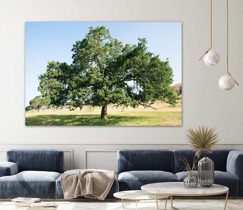 La force par Acer Images sur GIANT ART - arbres bleus