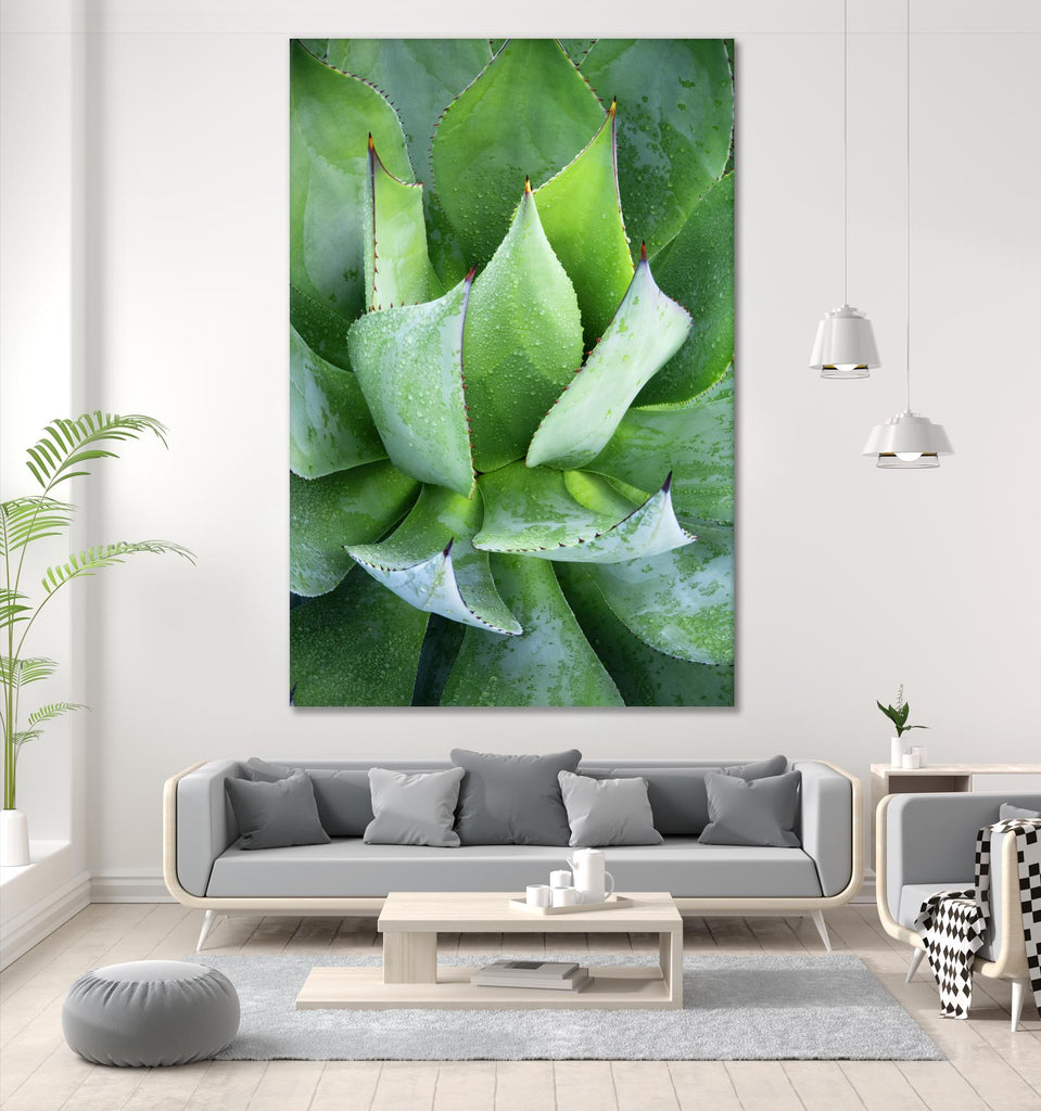 Yucca Study 1 by Acer Images on GIANT ART - green botany
