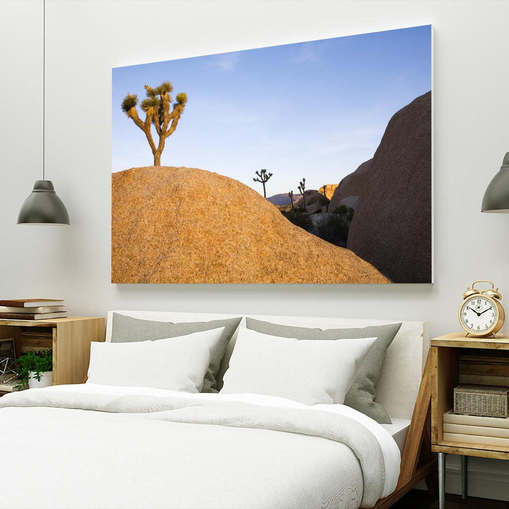 Joshua Tree Dream by Acer Images on GIANT ART - blue landscape