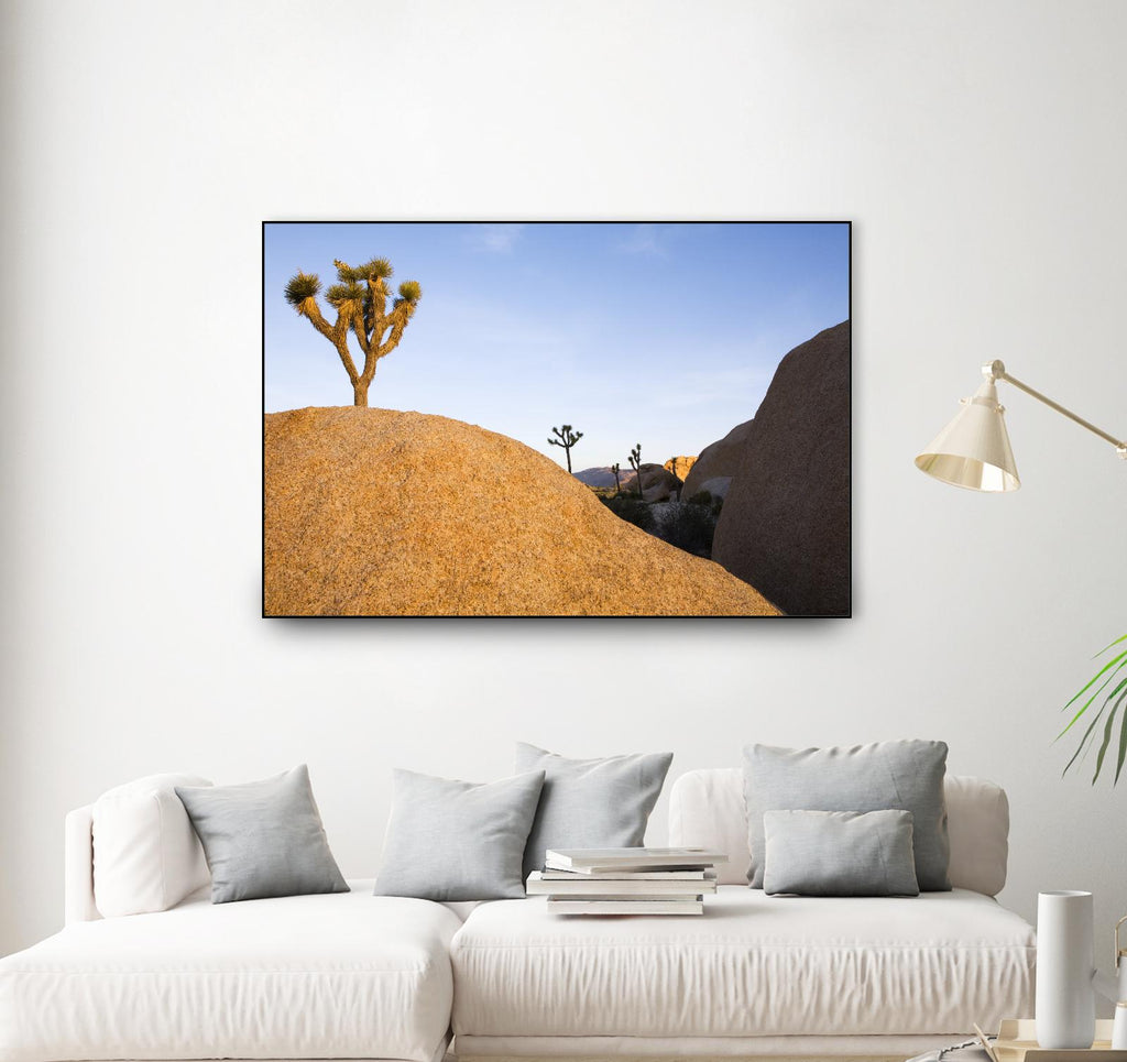Joshua Tree Dream by Acer Images on GIANT ART - blue landscape