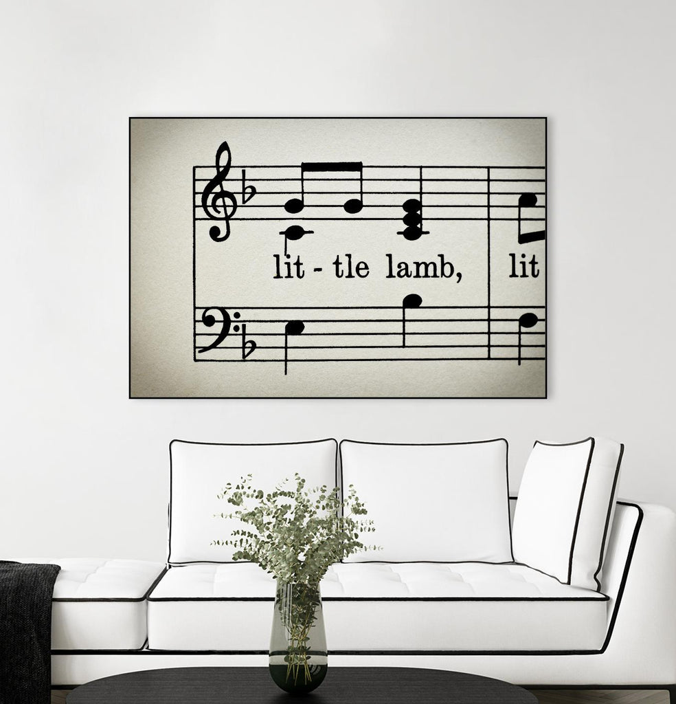 Little Lamb by Amy Smith on GIANT ART - white photo art