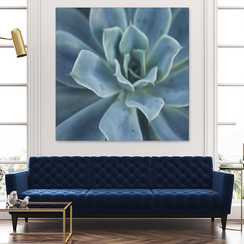 Sweet Succulent by Karen Ussery on GIANT ART - blue botany