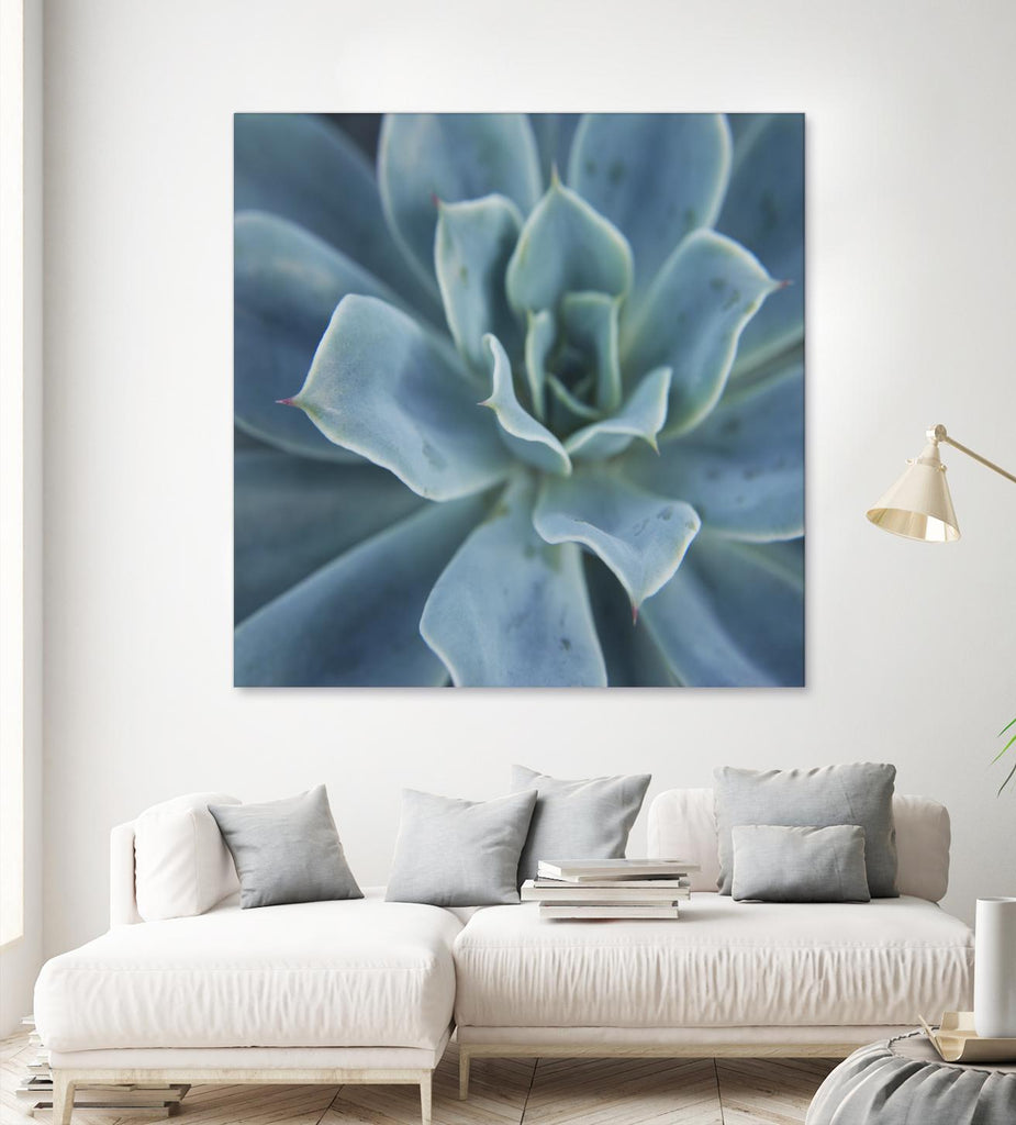 Sweet Succulent by Karen Ussery on GIANT ART - blue botany