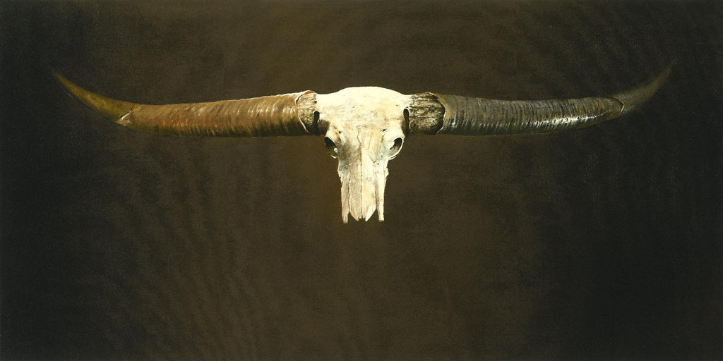 Skull by Gregory Garrett on GIANT ART - white country look