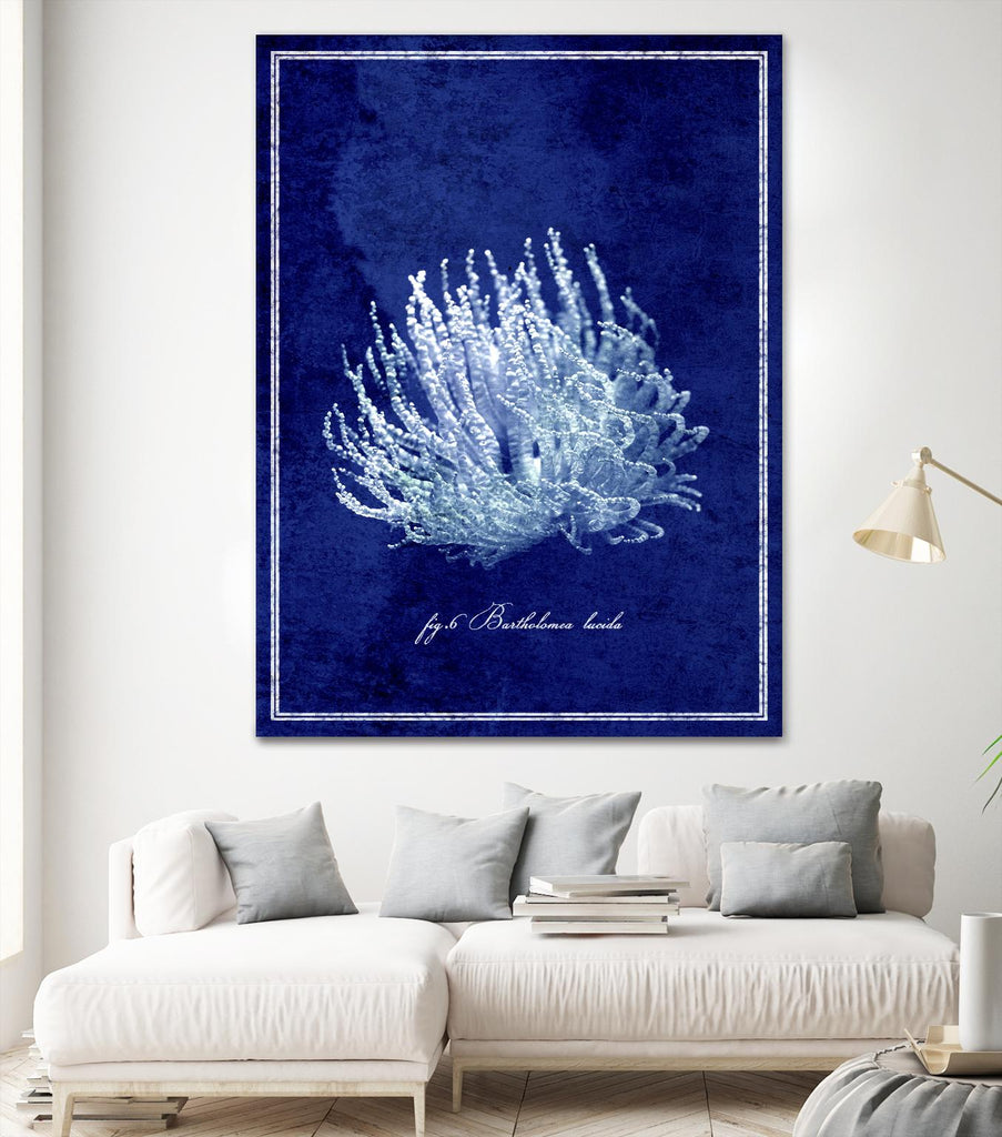 Collection marine C par GI ArtLab sur GIANT ART - bleu nautique