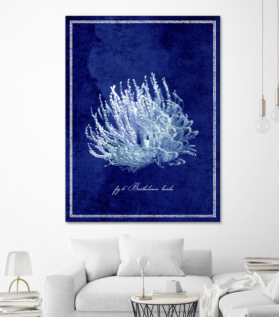 Collection marine C par GI ArtLab sur GIANT ART - bleu nautique