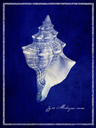 Conch Shell by GI ArtLab on GIANT ART - blue nautical