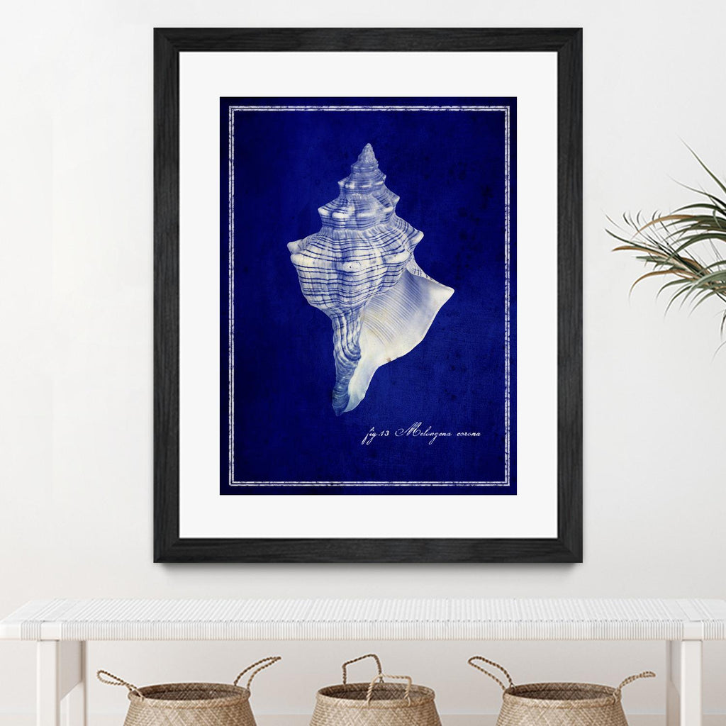 Coquillage par GI ArtLab sur GIANT ART - bleu nautique