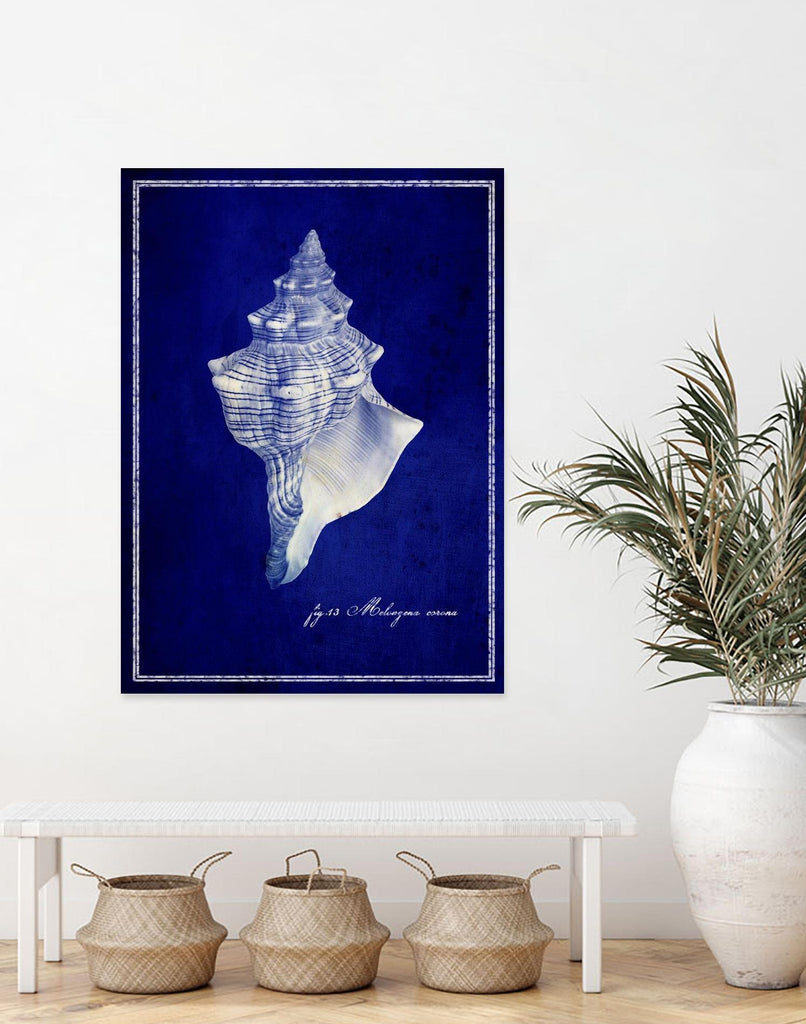 Conch Shell by GI ArtLab on GIANT ART - blue nautical