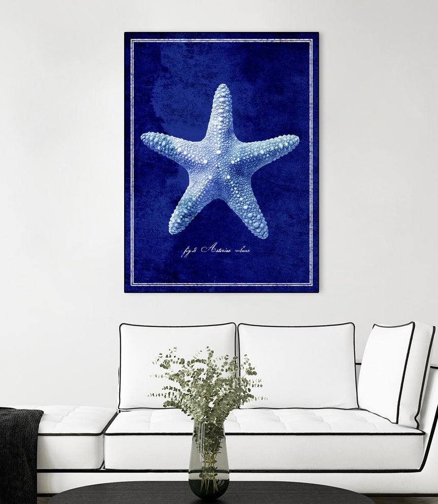 Starfish by GI ArtLab on GIANT ART - blue nautical