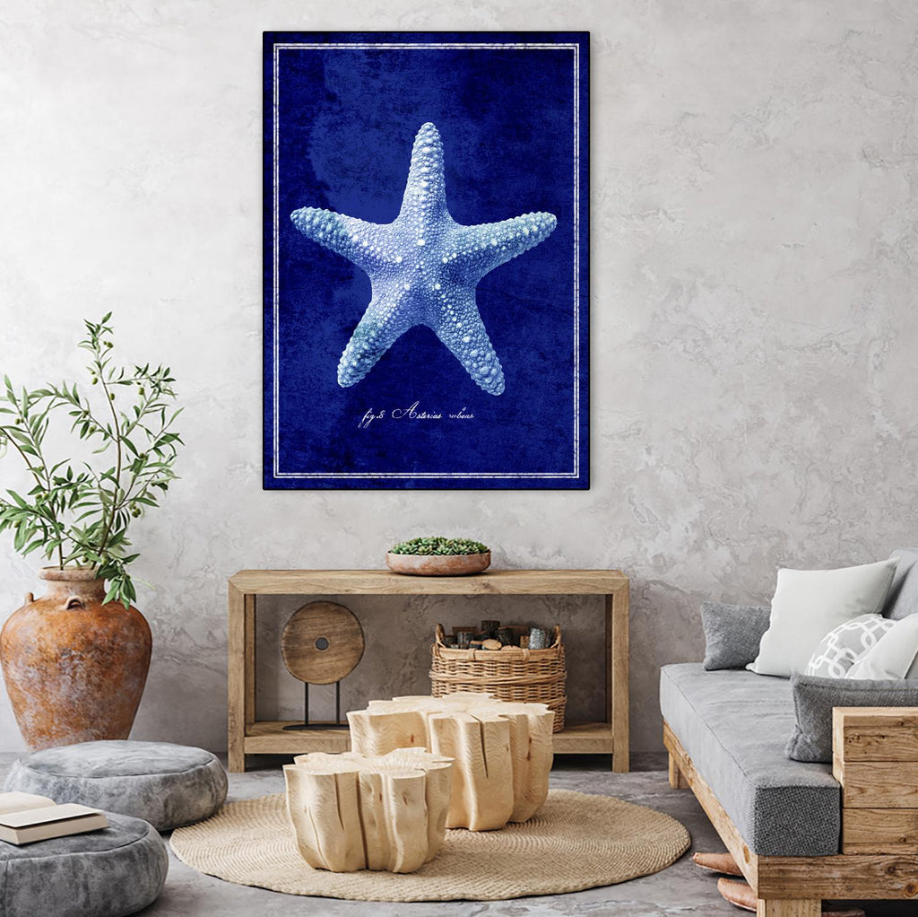 Starfish by GI ArtLab on GIANT ART - blue nautical