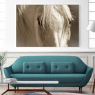 Angel Eyes by Barry Hart on GIANT ART - beige animals