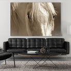 Angel Eyes by Barry Hart on GIANT ART - beige animals