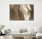 Angel Eyes by Barry Hart on GIANT ART - beige animals